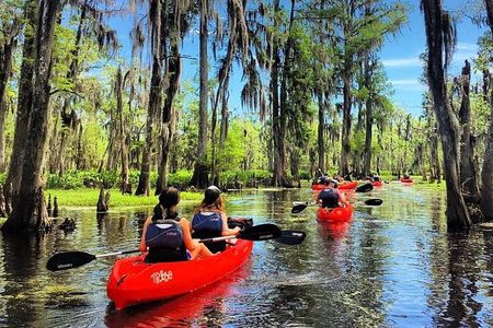 Small-Group Manchac Swamp Kayak Tour