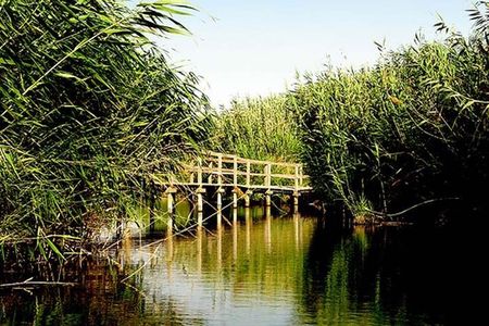 Shaumari Reserve and Azraq Wetland Private Full Day Tour from Amman