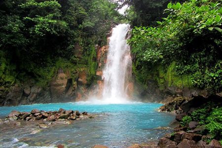 Río Celeste Nature Hike and Swimming experience at the blue river