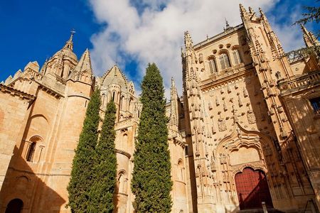 Private Tour to Avila and Salamanca from Madrid