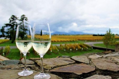 Progressive Wine and Gourmet Trail of Marlborough