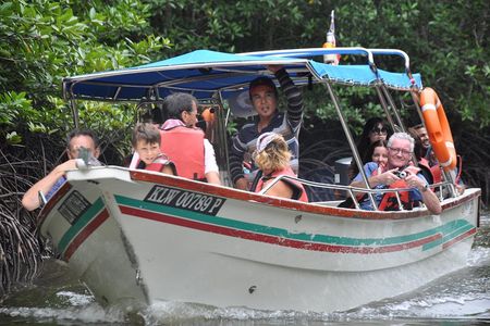 5 Hours Sharing Basis Kilim Mangrove Safari Boat Tour in Langkawi