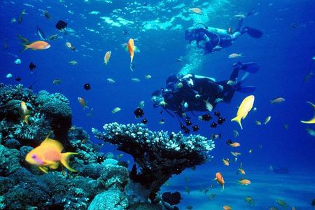Full-Day Beginner Scuba Course with Private Tuition, Racha Yai