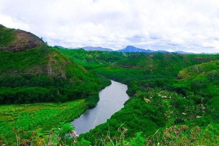 Kauai Waimea Canyon, Wailua River Boat and Fern Grotto Tour