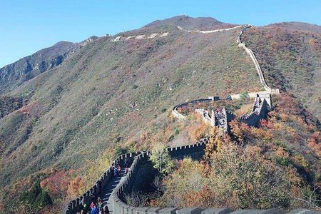 Mutianyu Great Wall + Summer Palace or Forbidden City or Ming Tombs Day Tour