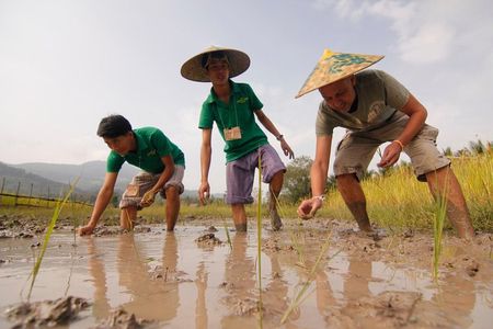 Rice is Life Experience & Kuang Si Waterfall - Luang Prabang full day tour