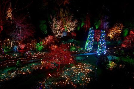 Enchanted Christmas Lights The Butchart Gardens: Entry included!