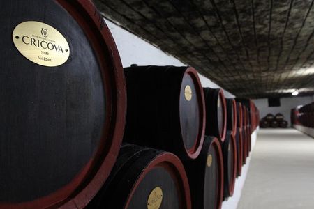 GROUP - Cricova Winery, Old Orhei and Curchi Monastery