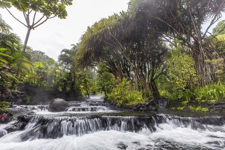 Day Trip from San Jose to Tabacon Hot Springs Resort & Spa
