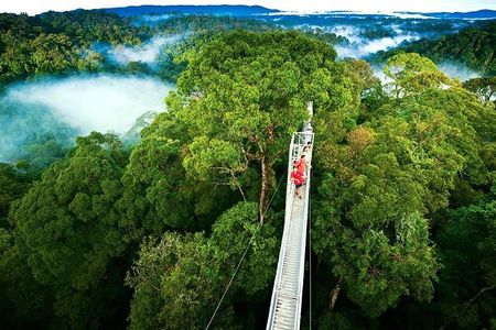 Day trip from San Jose to Monteverde Cloud Forest & Sky Adventure Park