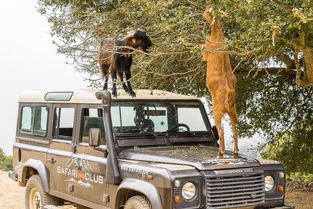 Full-Day Land Rover Safari from Heraklion with Lunch