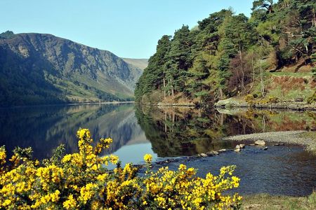 Dublin to Powerscourt, Wicklow and Glendalough Small Group Tours