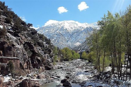 Ourika Valley including Camel Ride Lunch and Guided Hike Day Tour from Marrakech