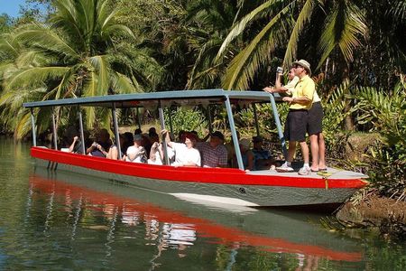 Damas Island Mangrove Boat Tour from Manuel Antonio