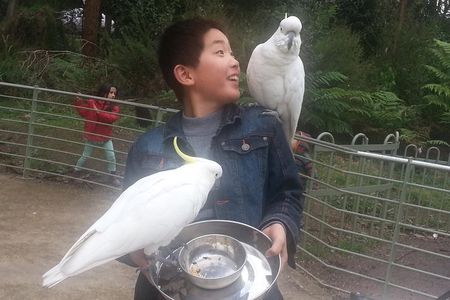 Custom Private Day Tour Melbourne to all surrounding areas for up to 11 people