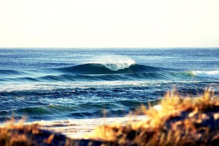 7-Day Byron Bay, Evans Head and Moonee Beach Surf Safari from Brisbane, Gold Coast or Byron Bay