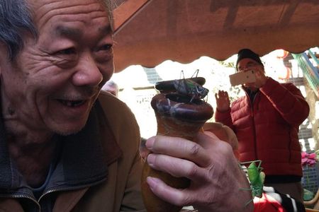 Private Hutong Culture Tour with Dumpling Cooking Class plus Cricket Fighting Game