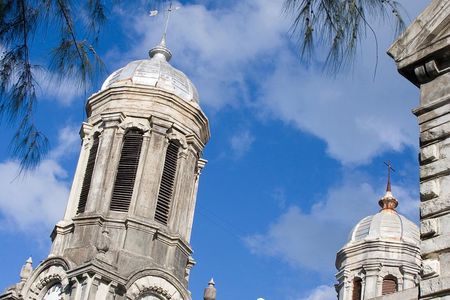City of St John's Sightseeing Tour