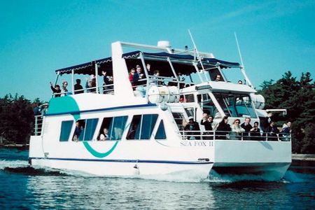  1000 Islands 90-minute Sightseeing Cruise