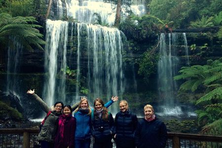 Hobart: Mt. Field, Mt Wellington & Wildlife - Active Day Tour