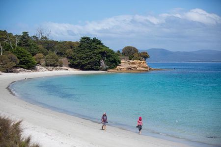 Maria Island Active Day Tour from Hobart