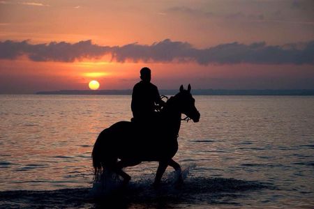 Sunset Beach Horseback Riding 