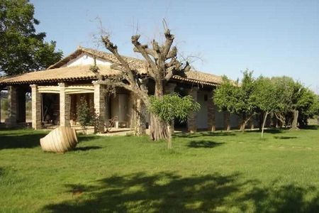 Ancient Olympia & Magna Grecia Farm Experience with Tastings