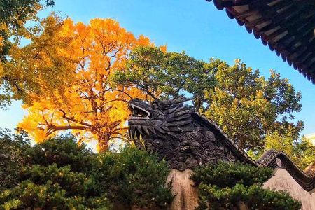Private Tour of Shanghai Highlights and Zhujiajiao Water Town in One Day