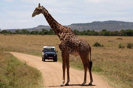 3-Day Sweetwaters: Ol Pejeta Conservancy Safari from Nairobi
