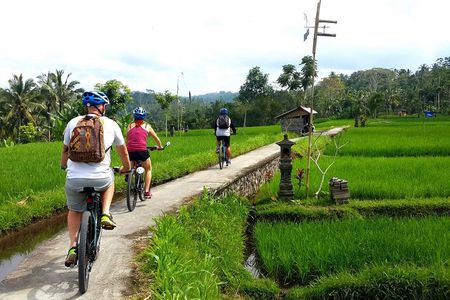 Half-Day Electric Cycling Tour of Ubud