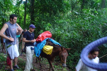 The Chagres Challenge - a full day jungle expedition from sunrise to sunset