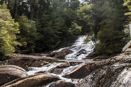 Boat navigation to Puerto Blest and Los Cantaros Falls from Bariloche