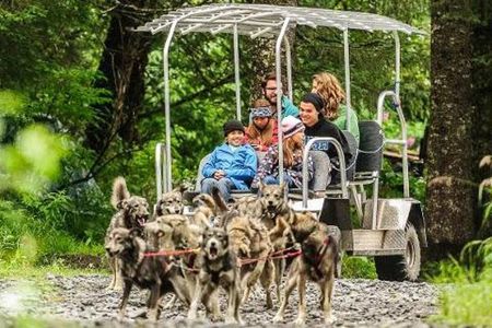 Turning Heads Kennel Dogsledding Experience & Tour