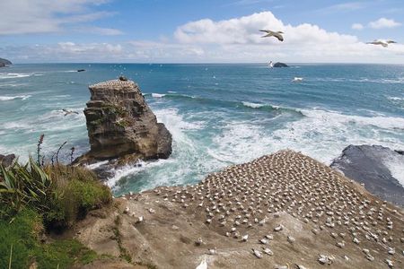 Coast to Coast Private Eco Tour