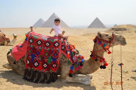 Layover tour in Cairo Visit Giza Pyramids and Sakkara and Dahshour and memphis
