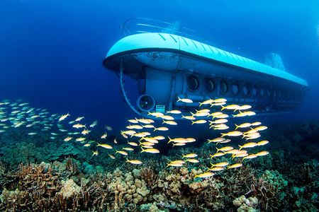 Atlantis Submarine Kona