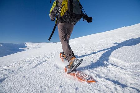 Guided Morning Snowshoe Hike with Huskies