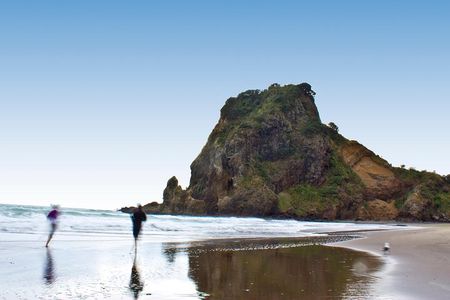Auckland City Highlights, Afternoon Piha Beach & Rainforest Tour