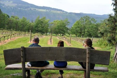Columbia Gorge Waterfalls & Wineries from Portland: All-Inclusive Afternoon Tour
