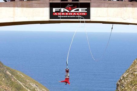 3 Day Big 5 and Bungee Tour - Garden Route Small Group Tour from Cape Town
