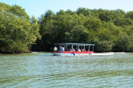 Damas Island by Boat Tour From Manuel Antonio