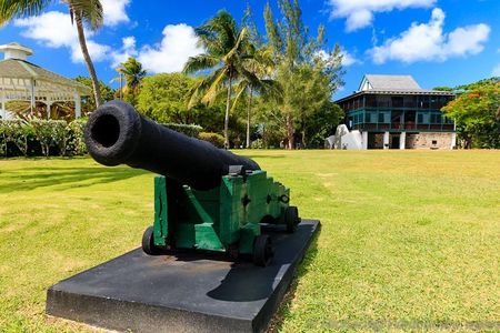 Skip the Line: Guided Tour and Rum Tasting Experience