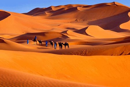 5 Days ( Desert Sahara Tour and Mount Toubkal Trek From Marrakech )