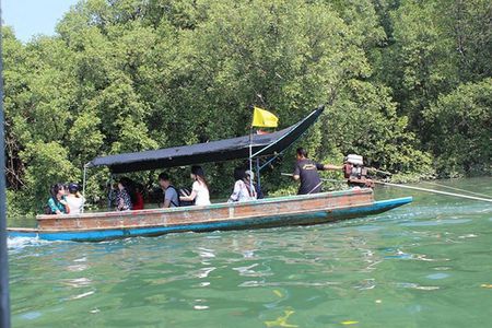 Pranburi Mangrove Swamp and River Cruise