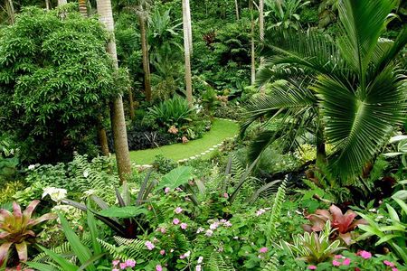 Hunte's Garden and St Nicholas Abbey small group Barbados tour