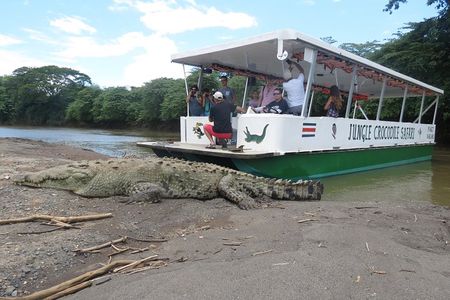 Jungle Crocodile Safari and Bird Watching tour/Tarcoles River CR