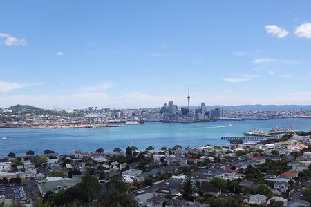 Half-Day: Small Group Auckland Scenic Tour - 4 HOURS