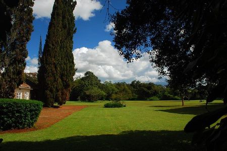 Out of Africa Tour: Giraffe Centre and Karen Blixen Museum from Nairobi