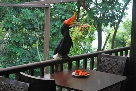 Kuala Lumpur Bird Park Admission Ticket with Private Pickup