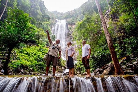 Langkawi Rainforest Jungle Trekking Tour with Private Pickup